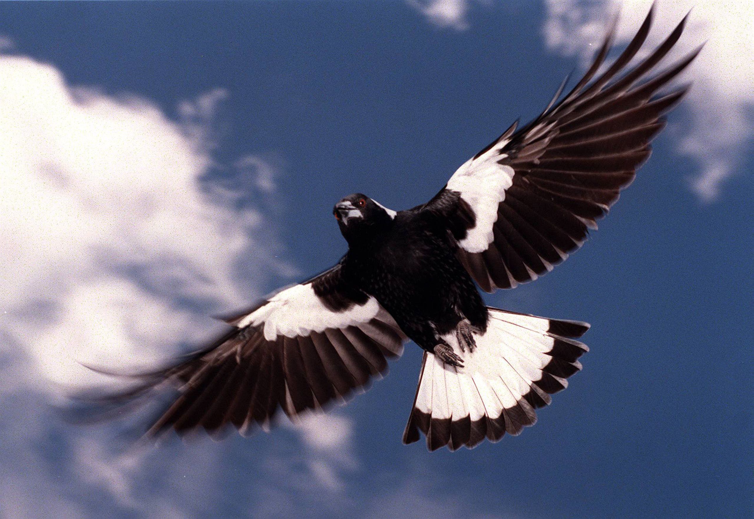 Copy of FROM HWT NEWSMACHINE-014701.JPG