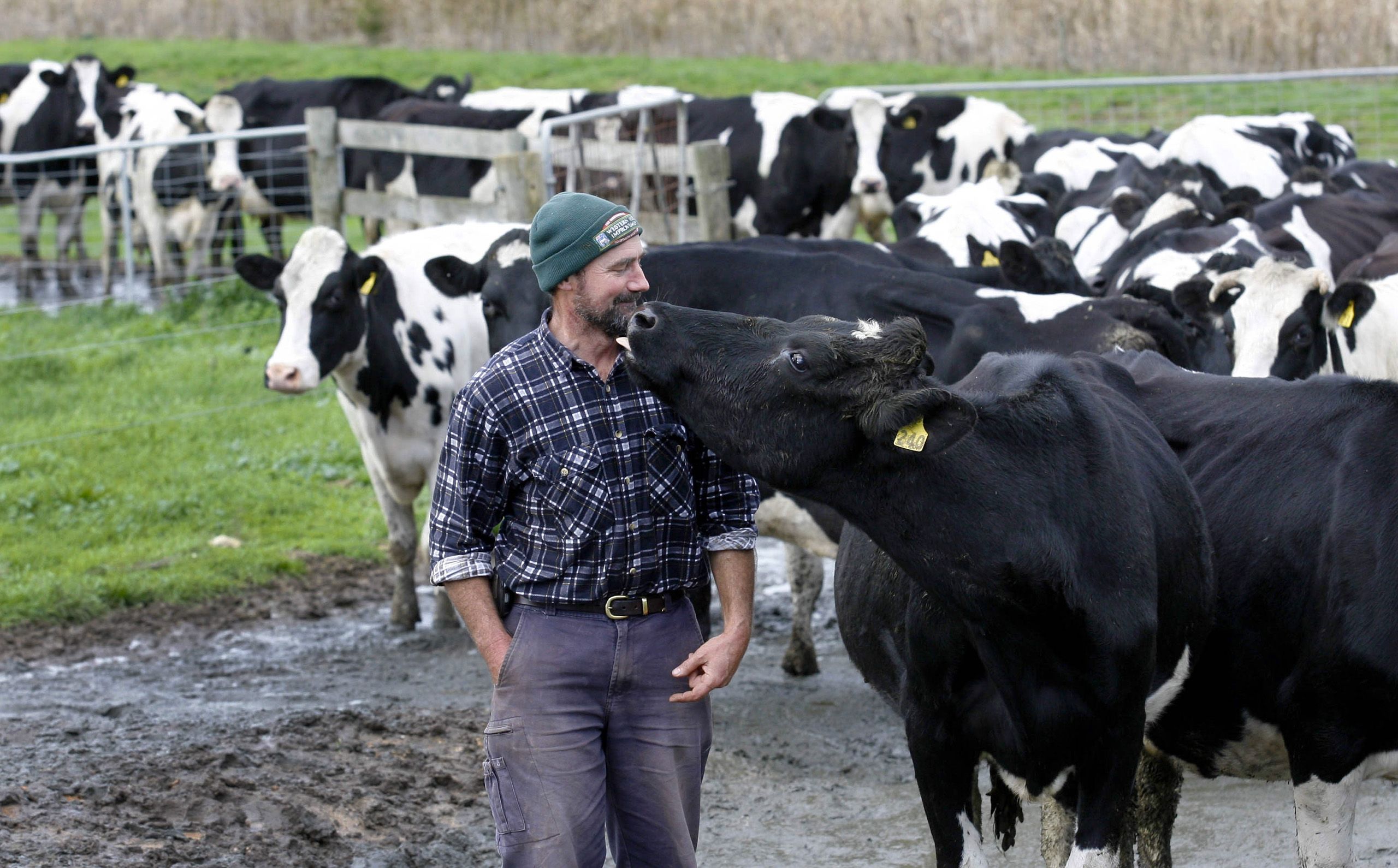 DAIRY FARMER-543338.JPG