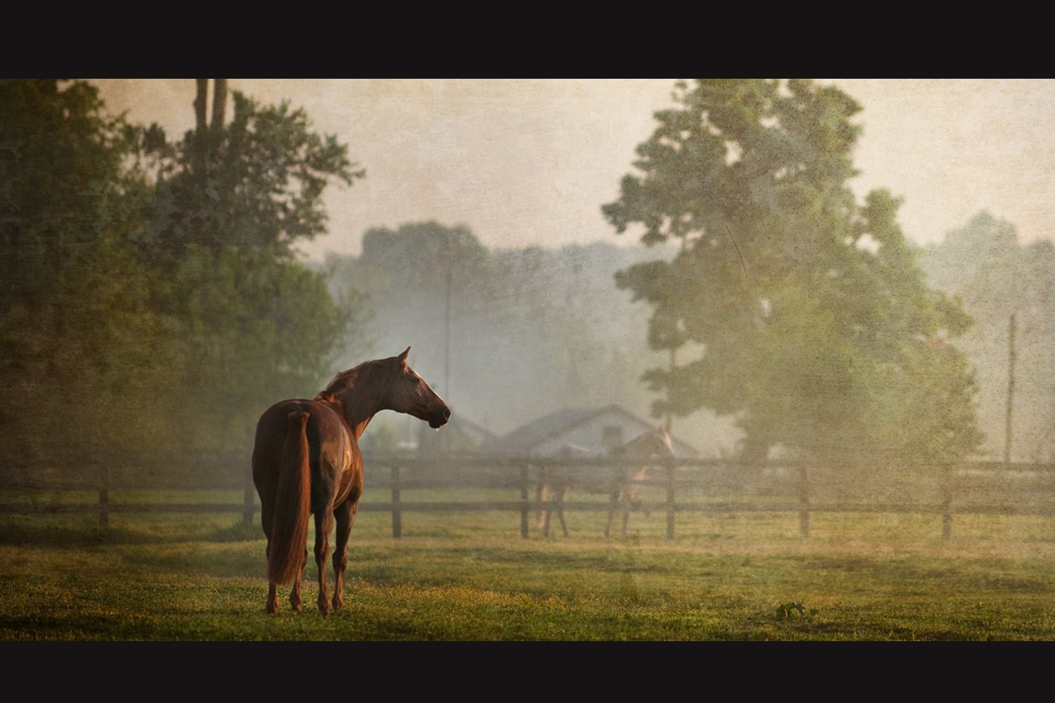 4_0_81_1kentucky_horse_scene.jpg