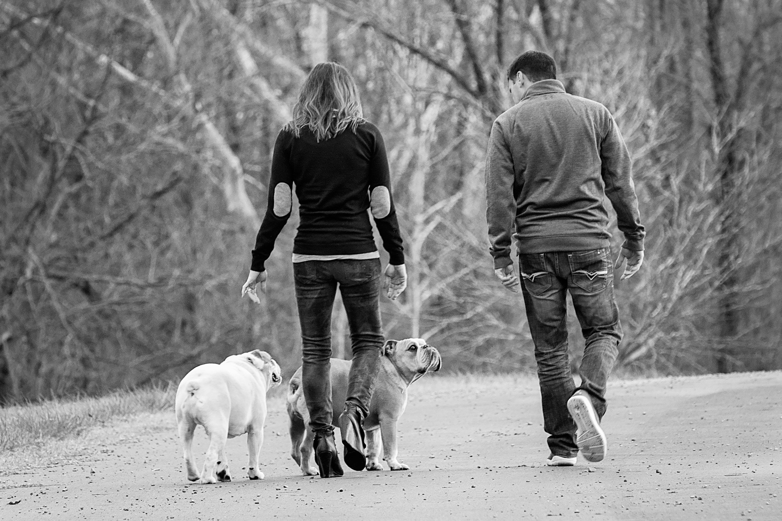 Family-Walking-iwth-Dogs.jpg