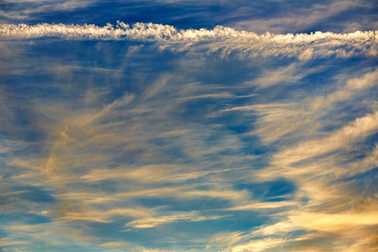 1dixon_and_skies_11_11_12_0268_copy_2