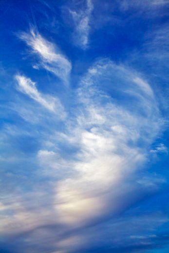 1la_and_skies_1_3_12_167