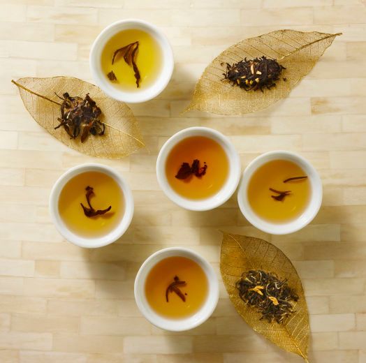 11-trot_10_11_10_0532_copy_email_copy_2