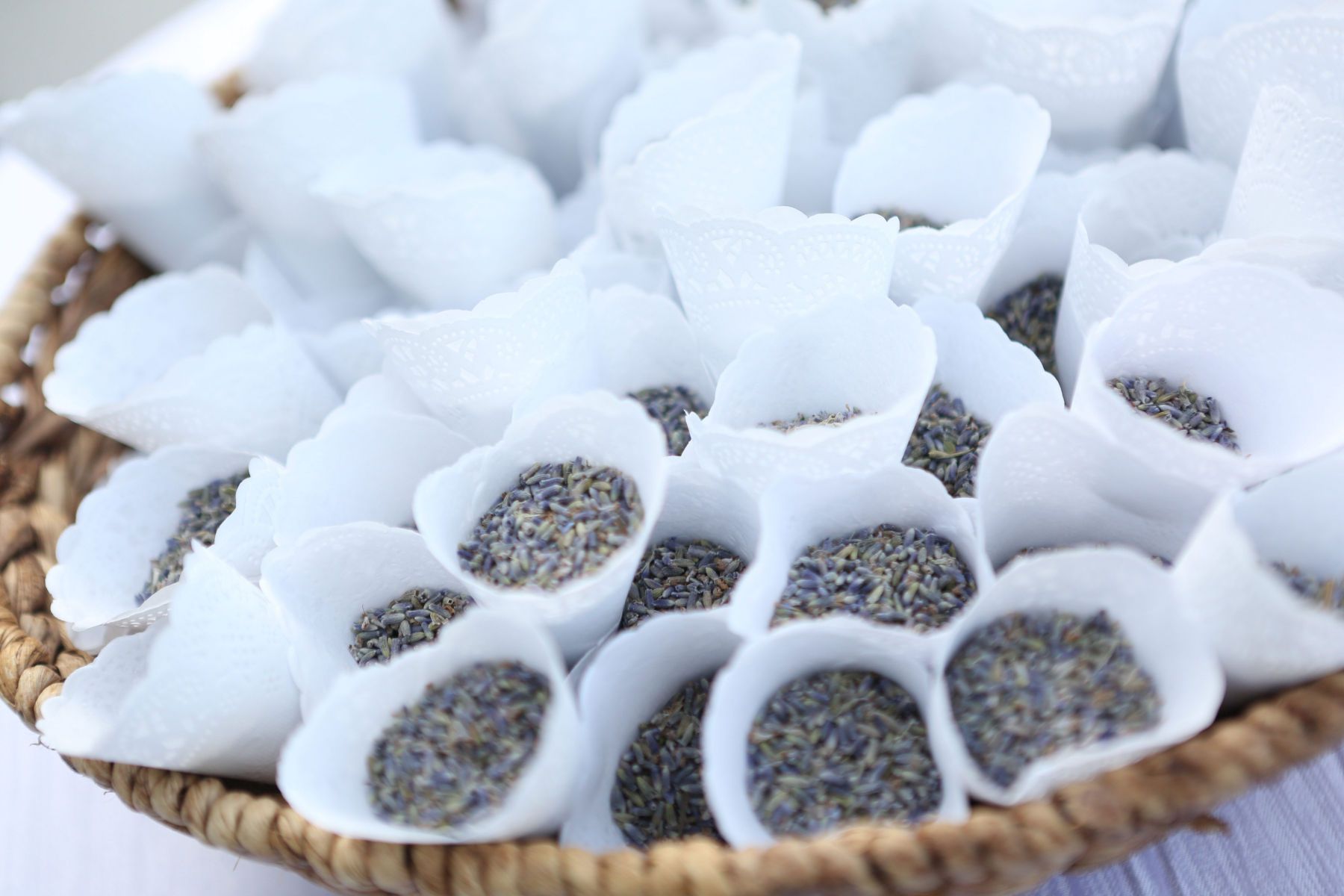 Adam Opris Photography