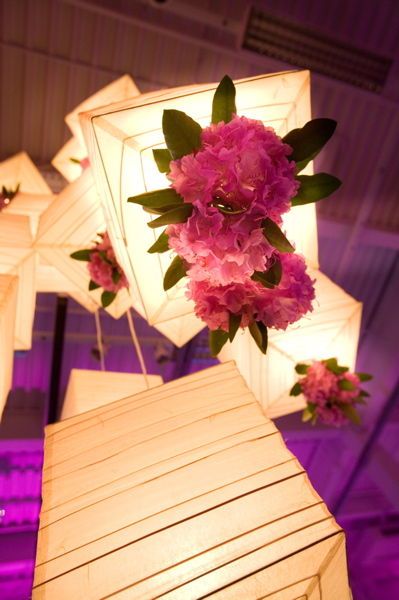 A LifeFusion Photography