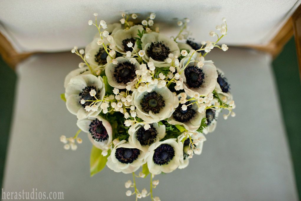 Hera Studios Photography