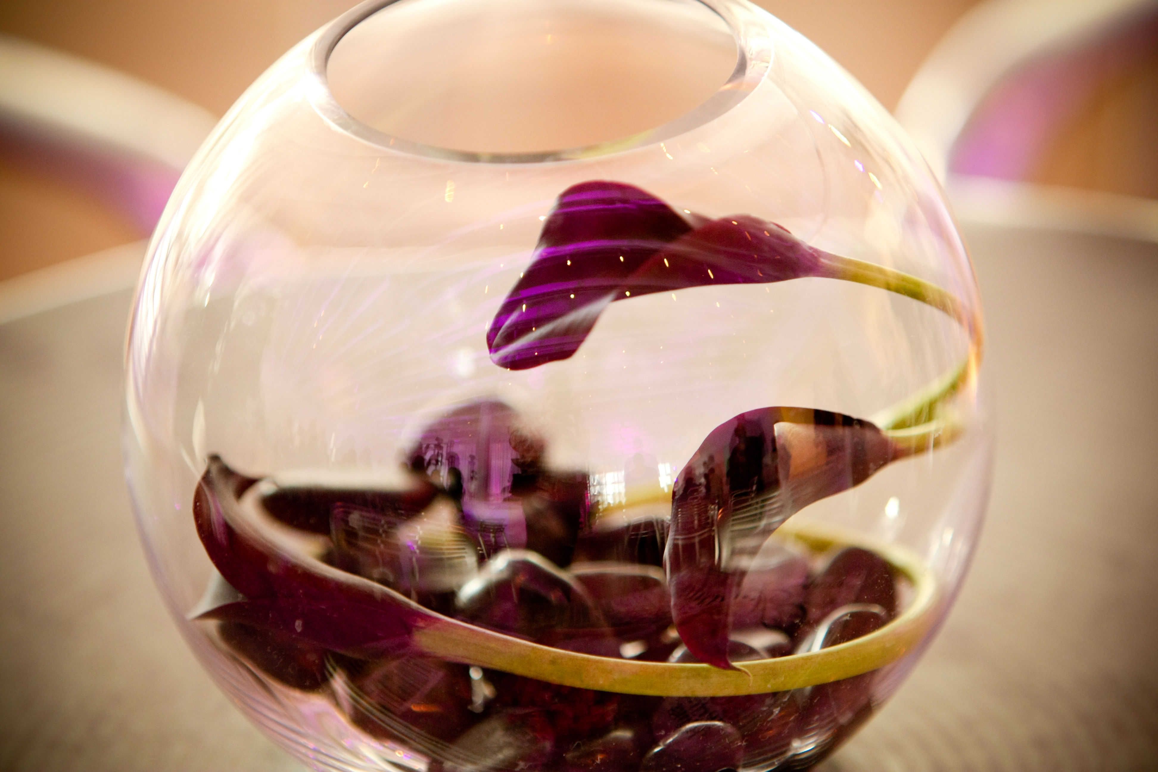 Michaela Bensko Photography