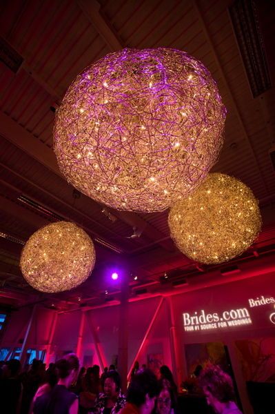 A LifeFusion Photography