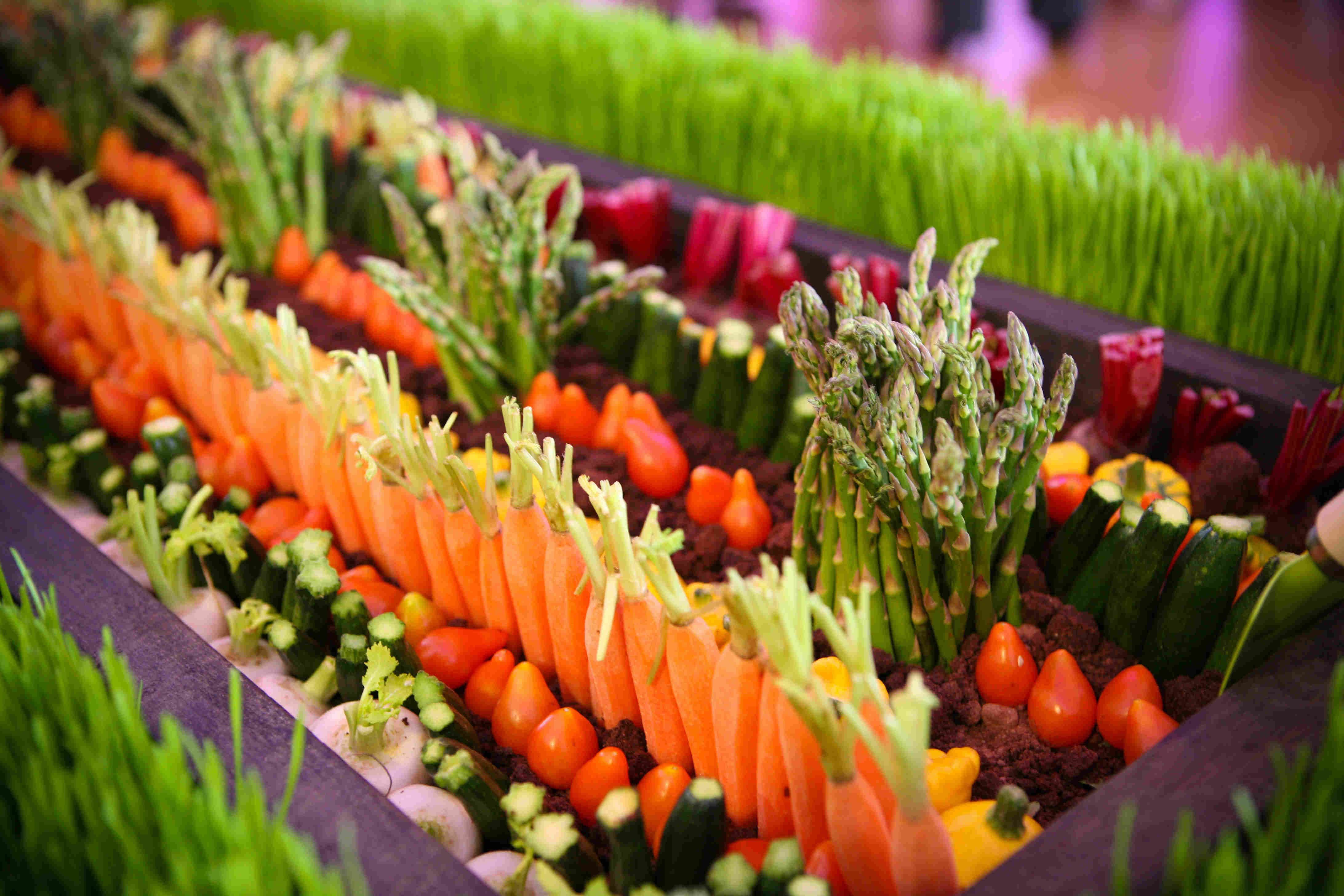 Photography by The Decisive Moment