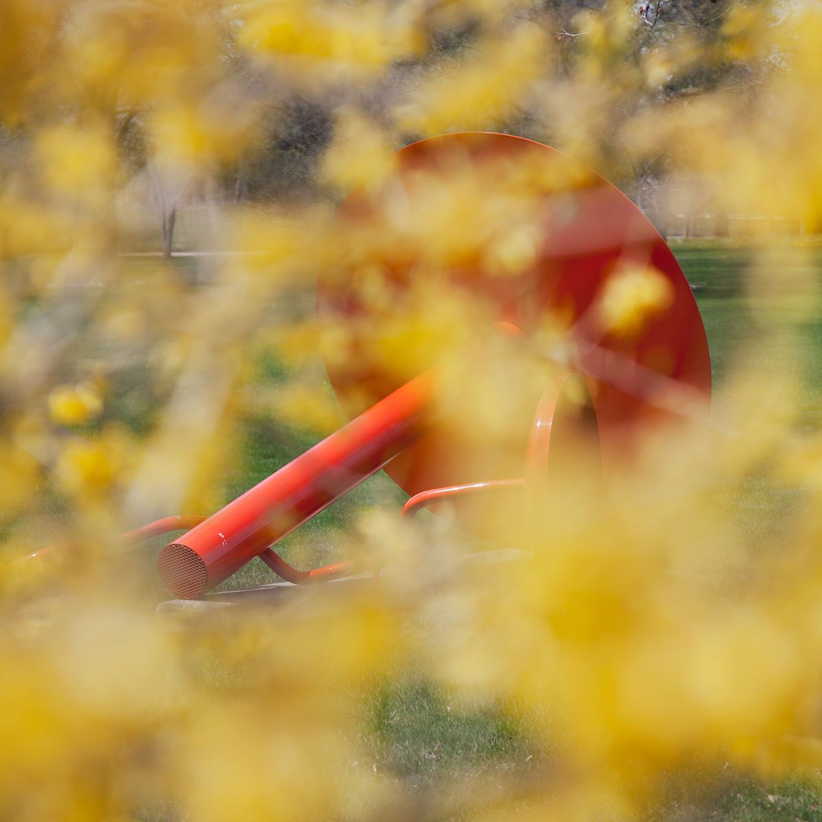 Axeltree & Forsythia
