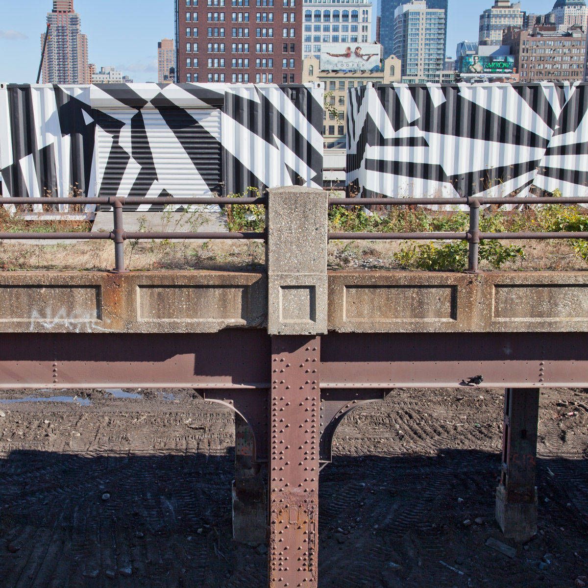 Untitled, from The High Line: An Abstract Nature