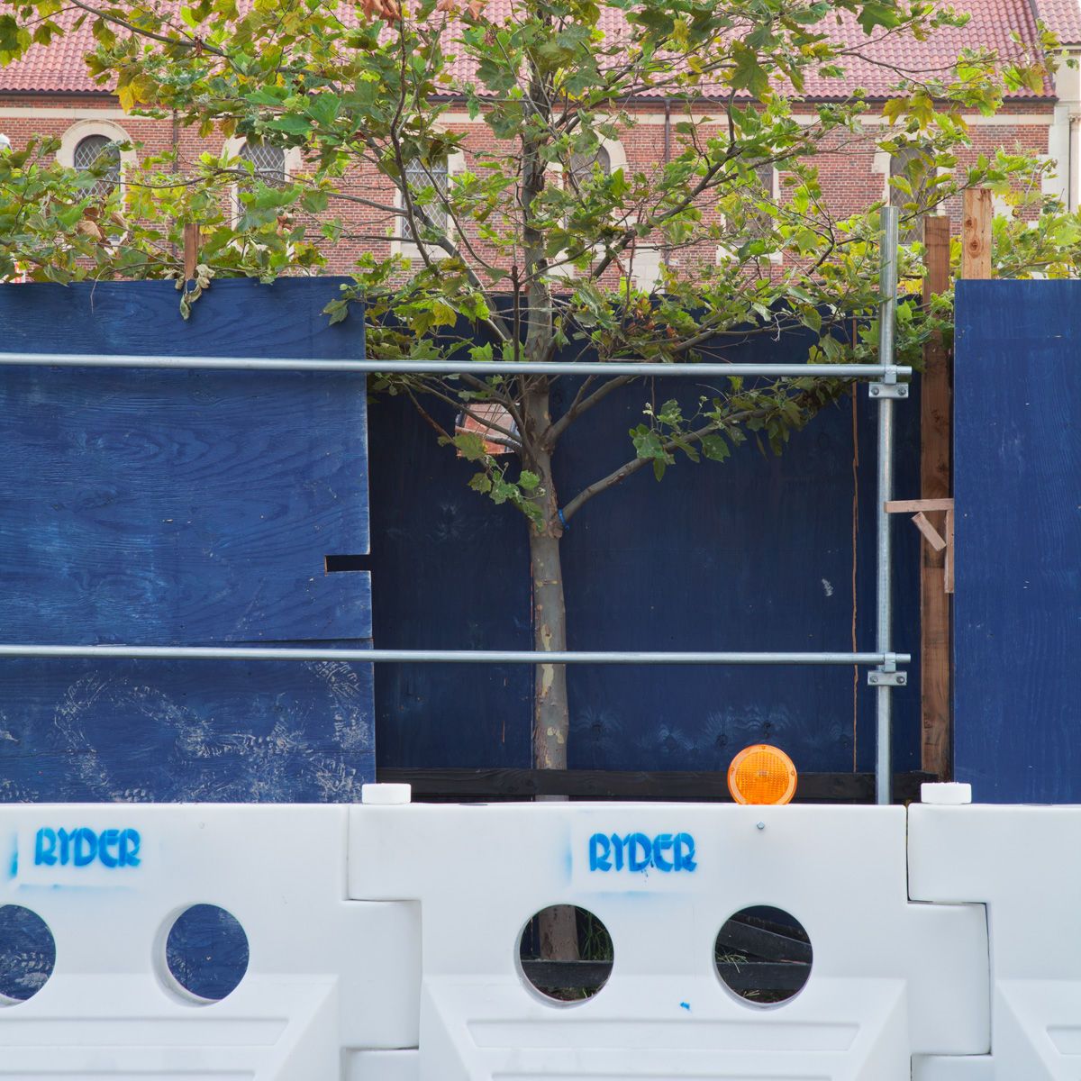 Untitled, from The High Line: An Abstract Nature