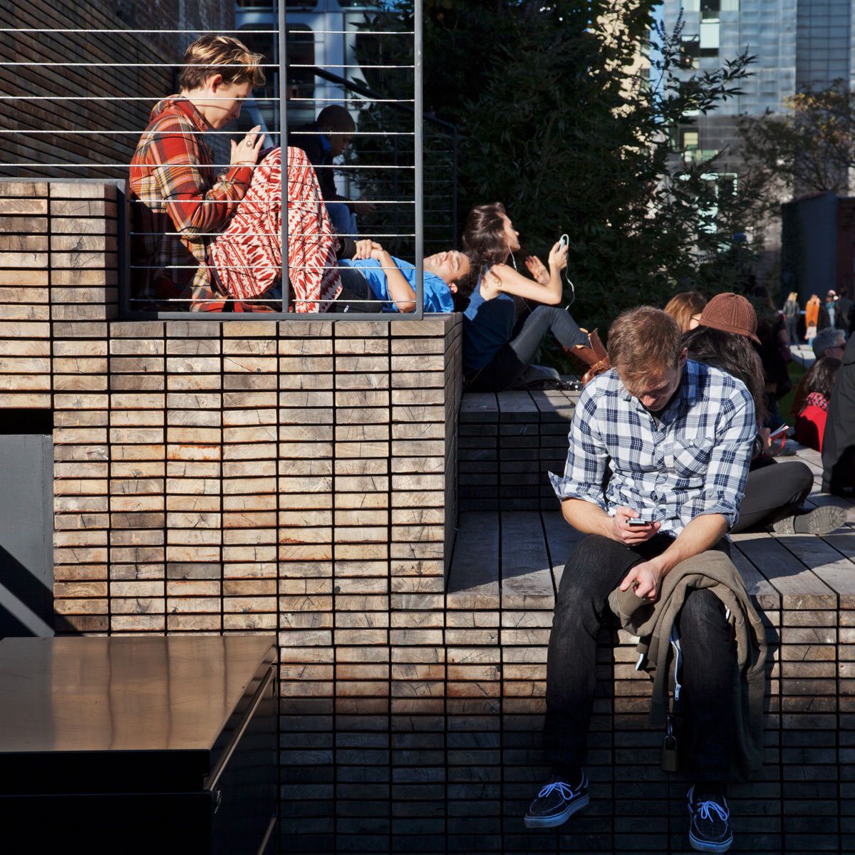 Untitled, from The High Line: An Abstract Nature