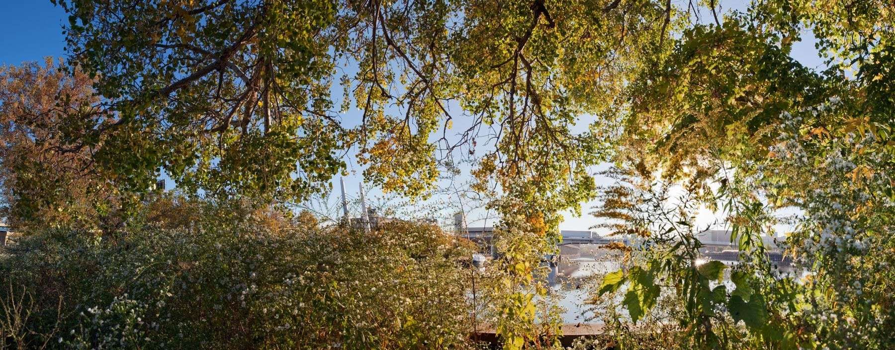 Menomonee Valley Sunrise