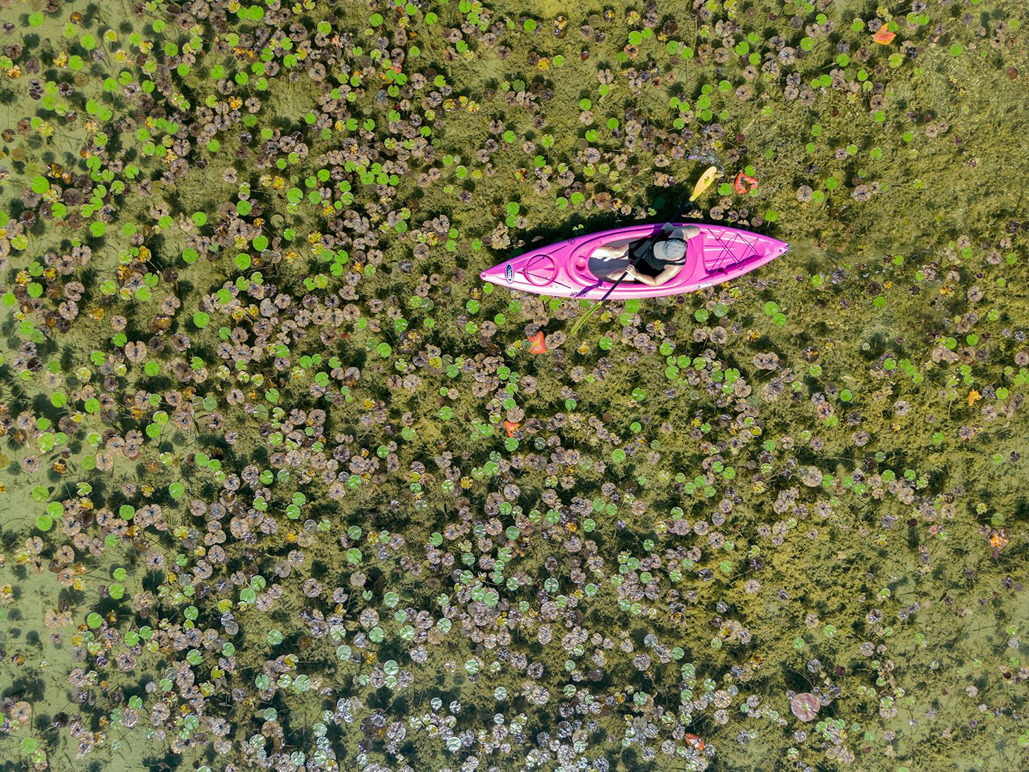 Lisa Leick at Biehl Nature Preserve/Lake Twelve in Washington County Lisa Leick.jpg