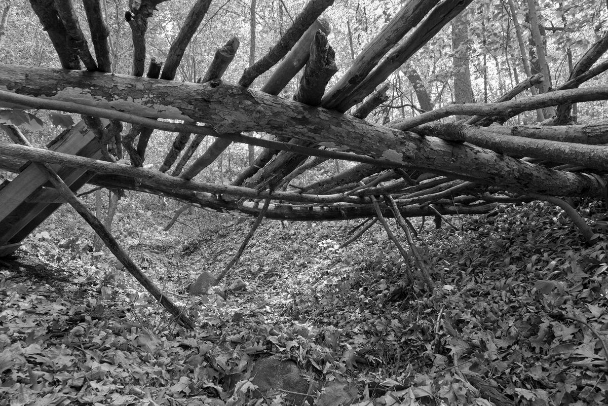 Wil-O-Way Woods, Wauwatosa WI