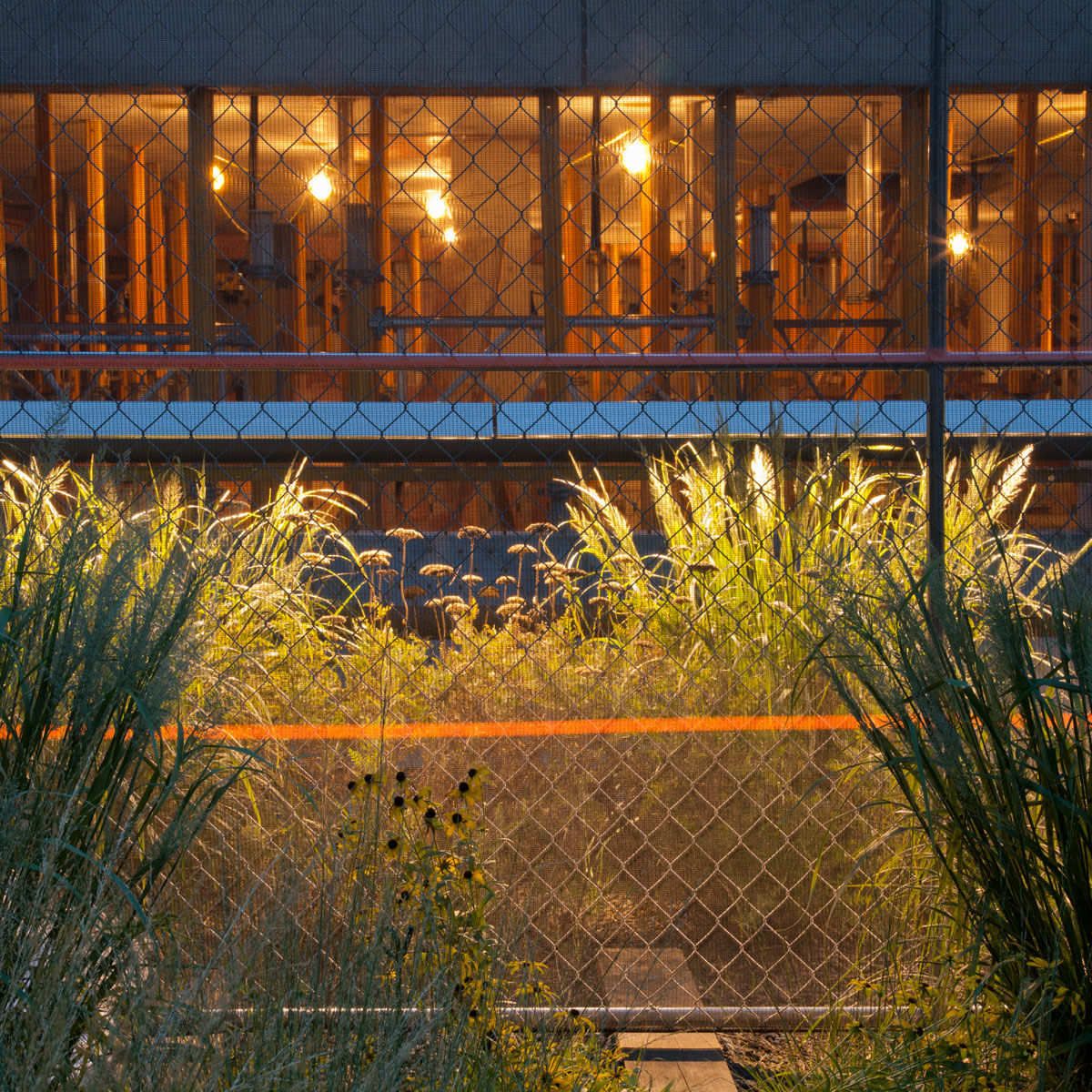 Untitled, from The High Line: An Abstract Nature