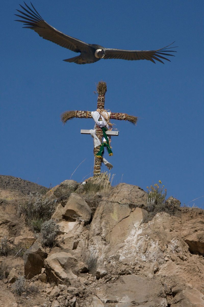 Cruz del Condor
