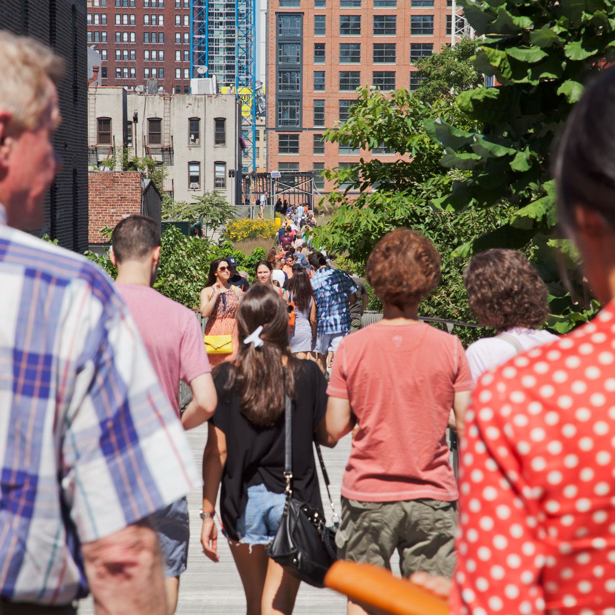 Untitled, from The High Line: An Abstract Nature
