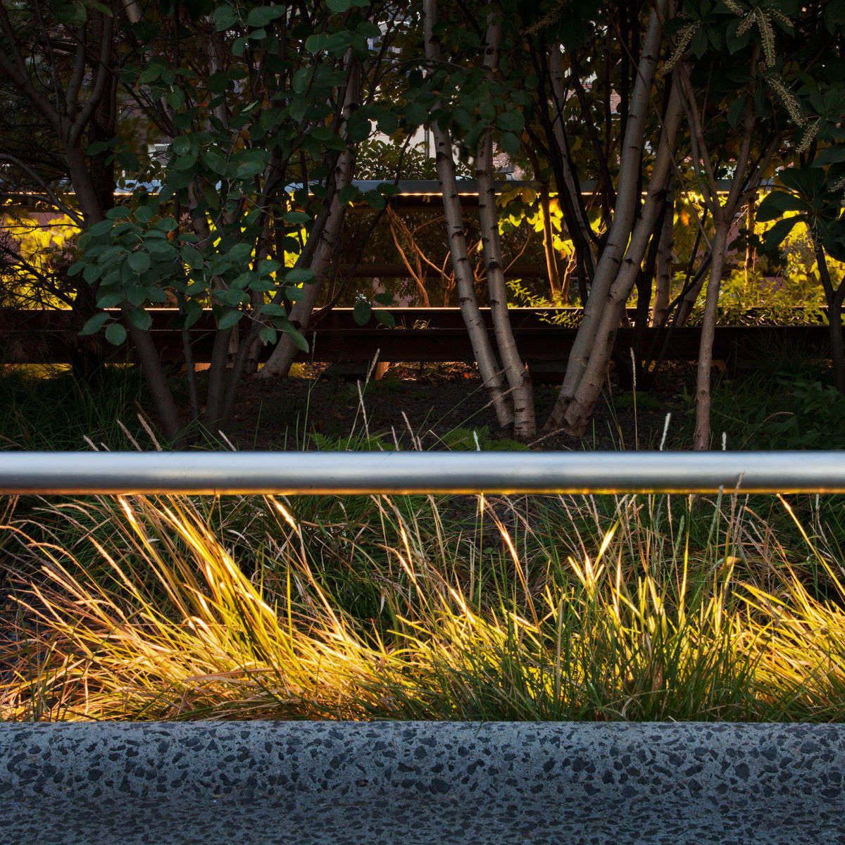 Untitled, from The High Line: An Abstract Nature