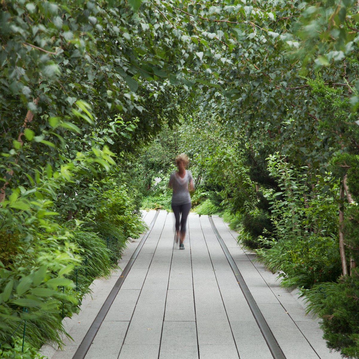 Untitled, from The High Line: An Abstract Nature