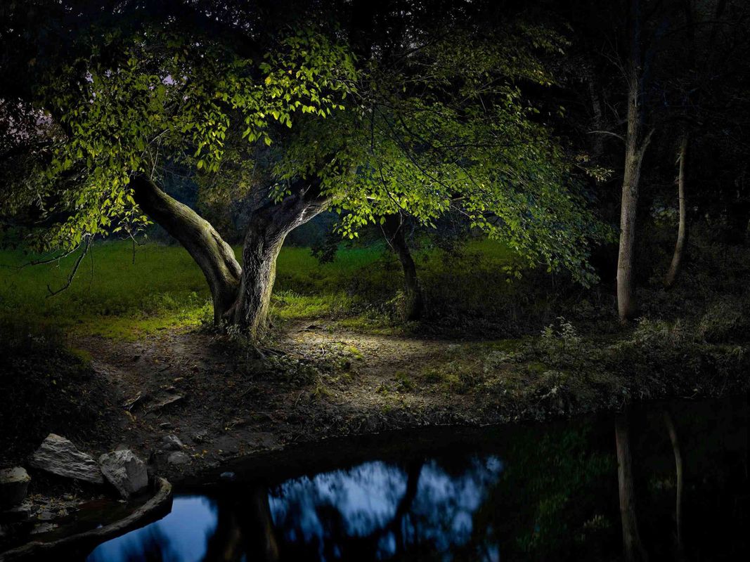 image.title Harold Ross: Illuminating The Night