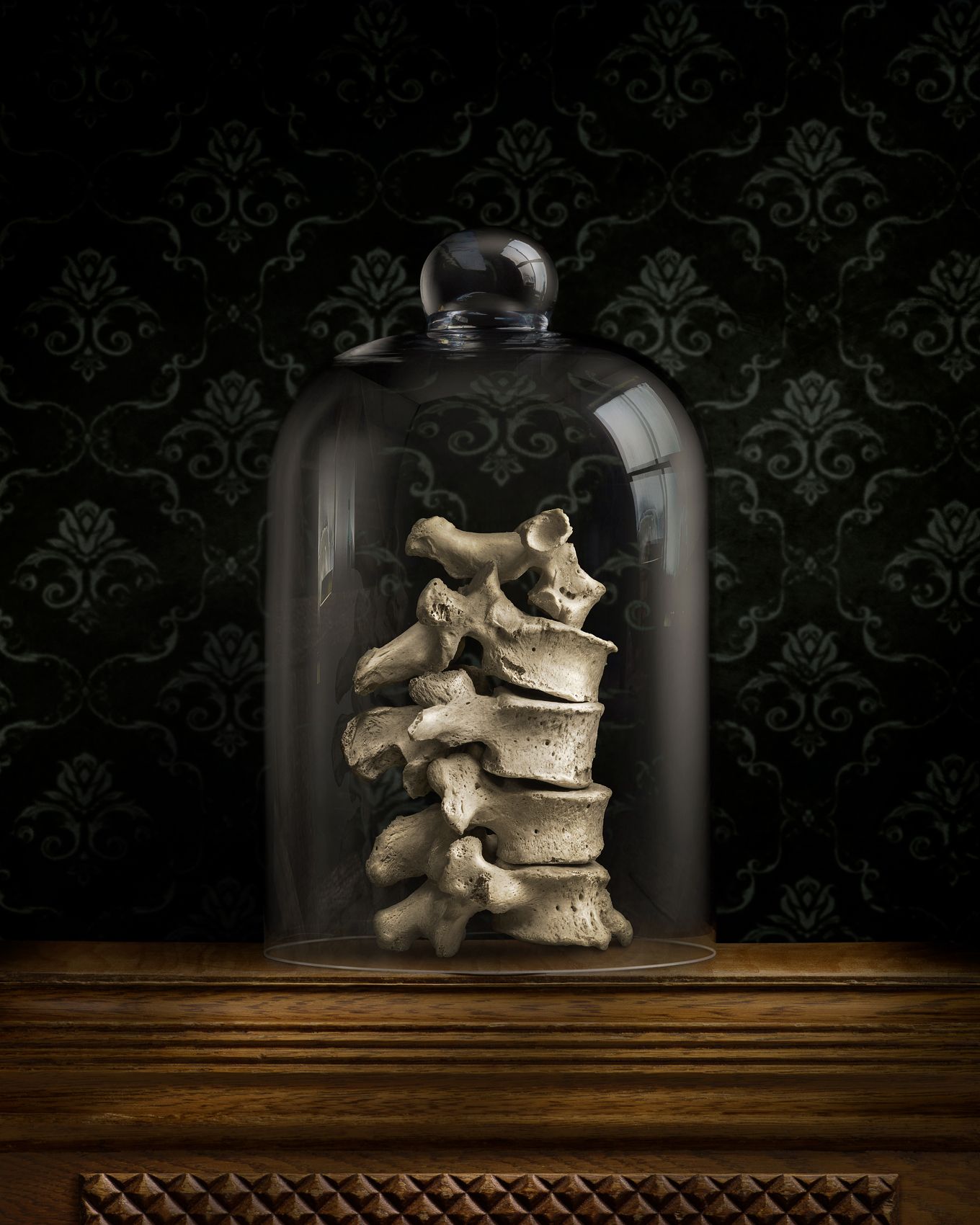 Memento-Mori-Vertabrae-in-Cloche_2400-copy.jpg