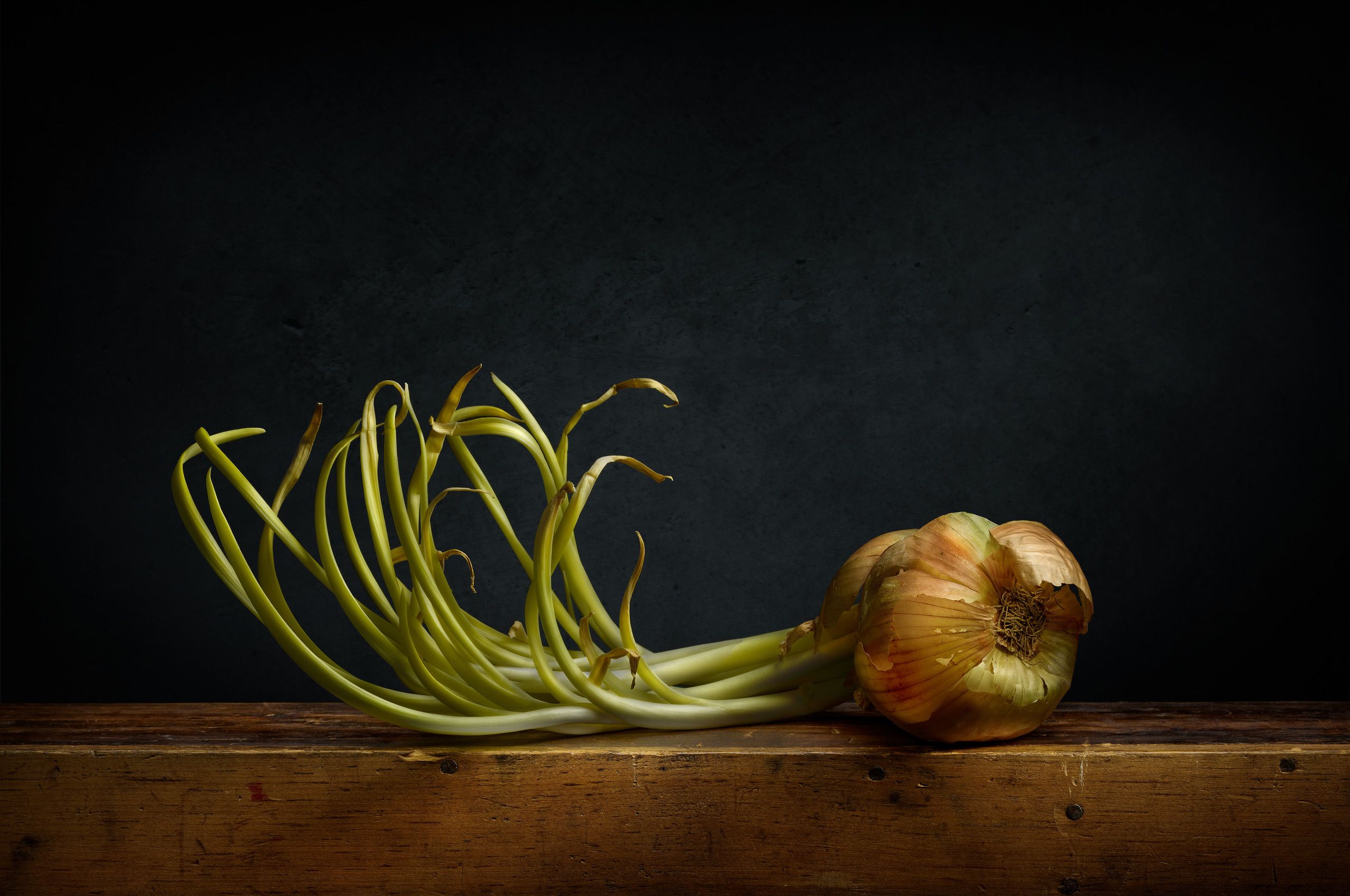 Onion-Sprout-MasterJpeg.jpg