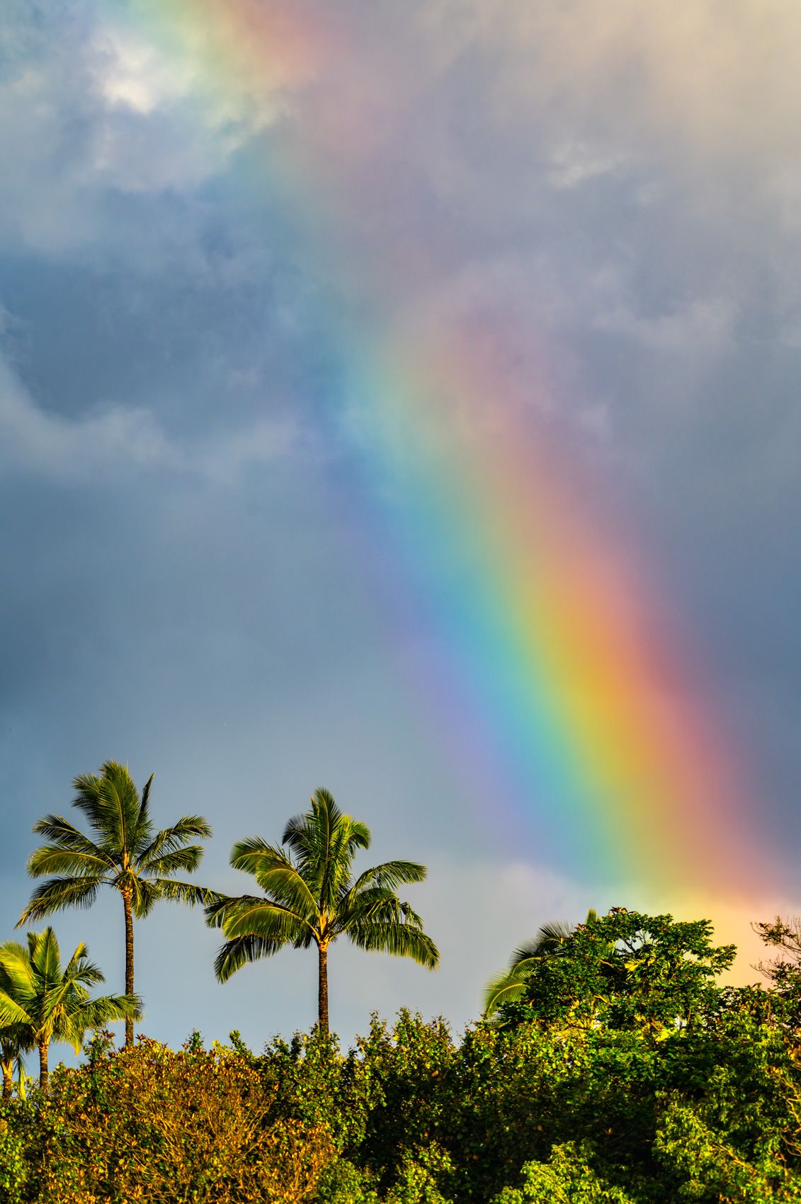 Kauai rainbow