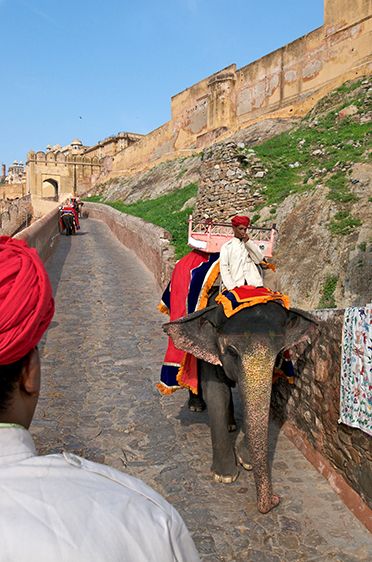 Web-Jaipur-22.jpg