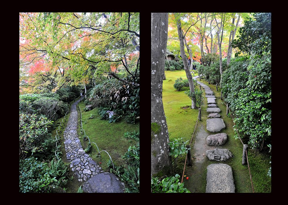 web-Kyoto-fall.jpg
