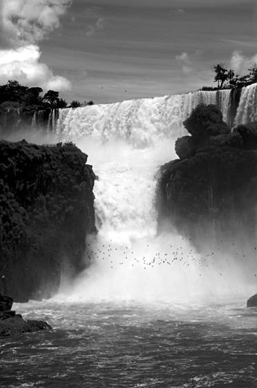 5_1_307_1IguazuArgentina_1_web.jpg
