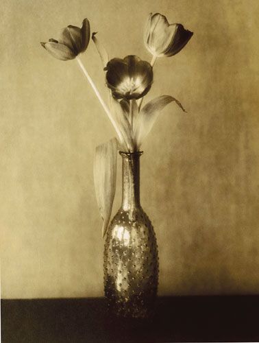 Tulips (Jerry's Vase)