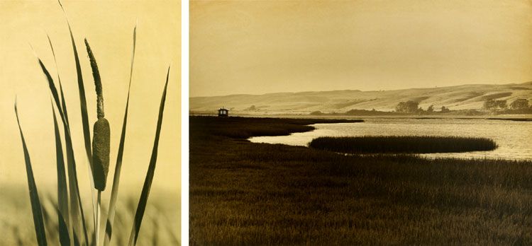 Tomales Bay  (Diptych #2)