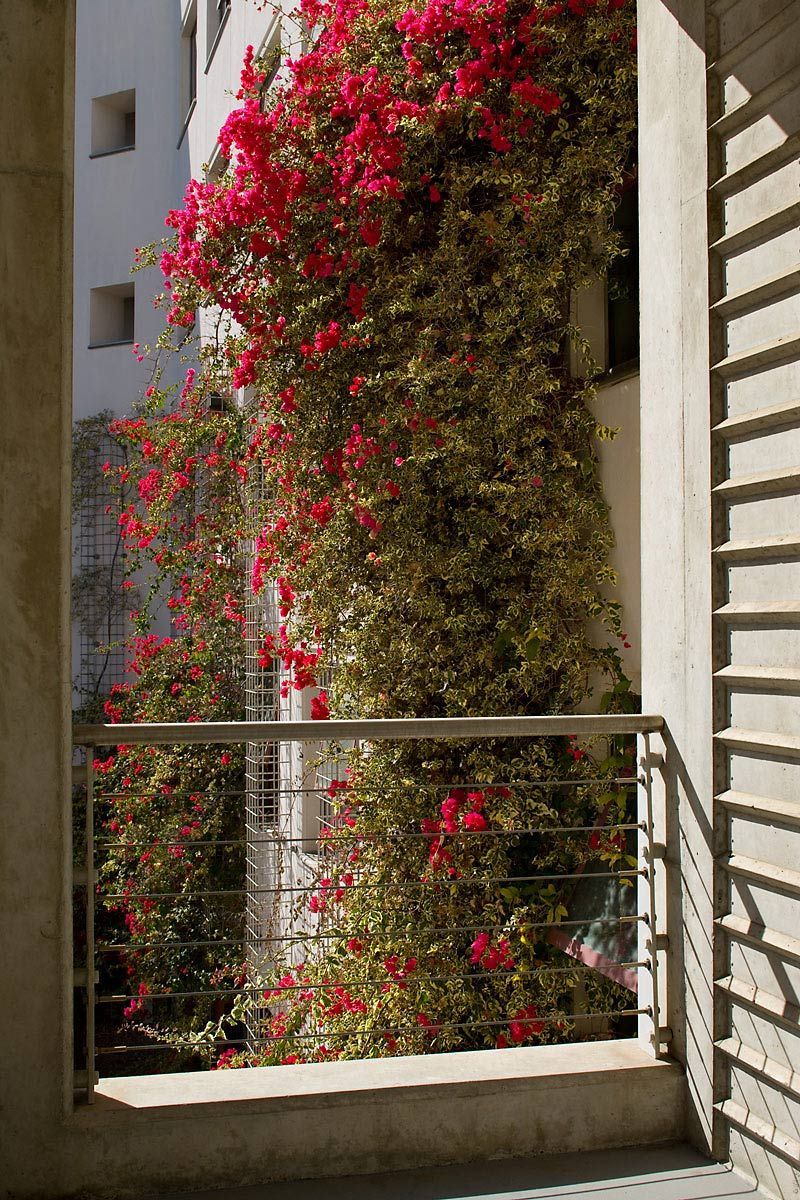 Project: UCSDClient: WRT/Wallace Roberts & Todd