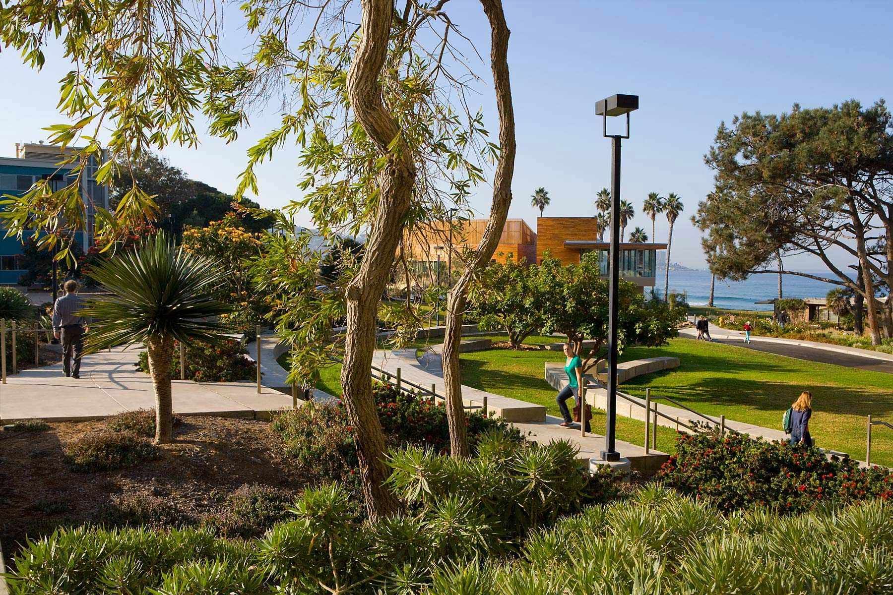 Project: Pawka Green at Scripps Institution of OceanographyClient: WRT/Wallace Roberts & Todd