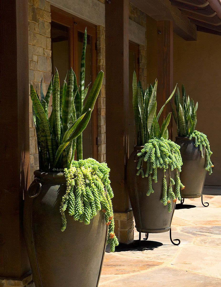 Project: Point Loma ResidenceClient: San Diego Home/Garden MagazineArchitect: Bruce Peeling