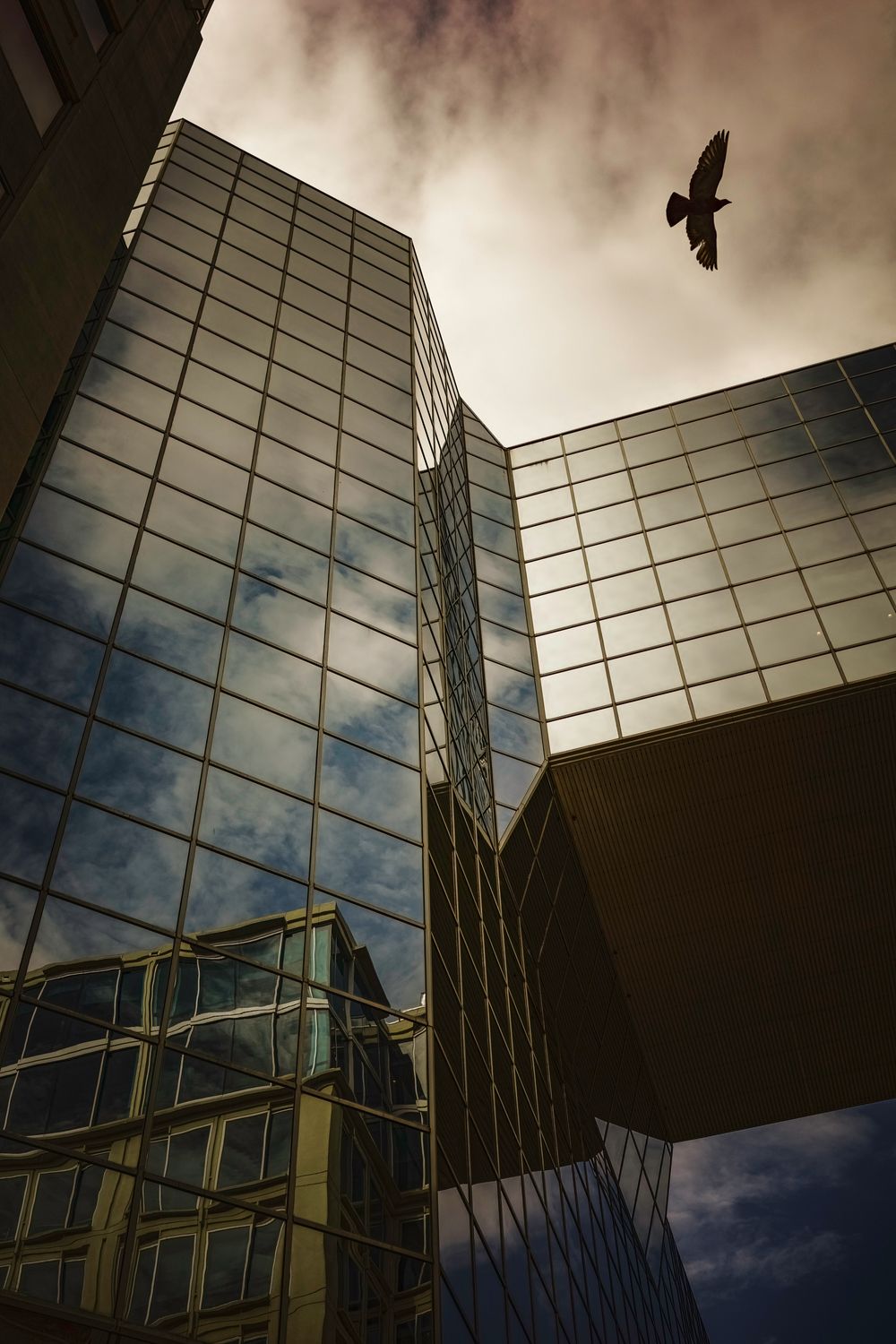 City Center-Oiseau