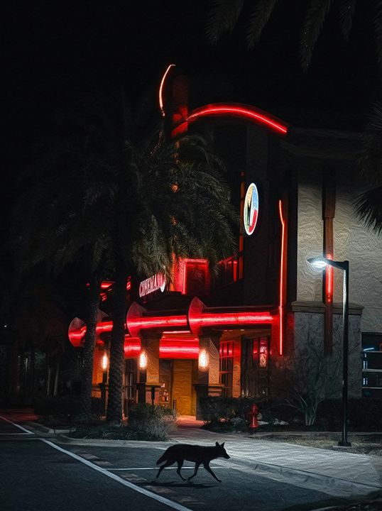 Coyote at the Cinema