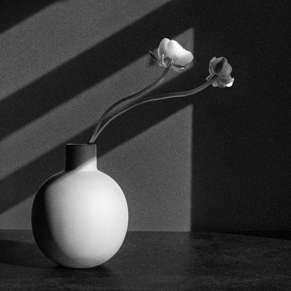 Ranunculus