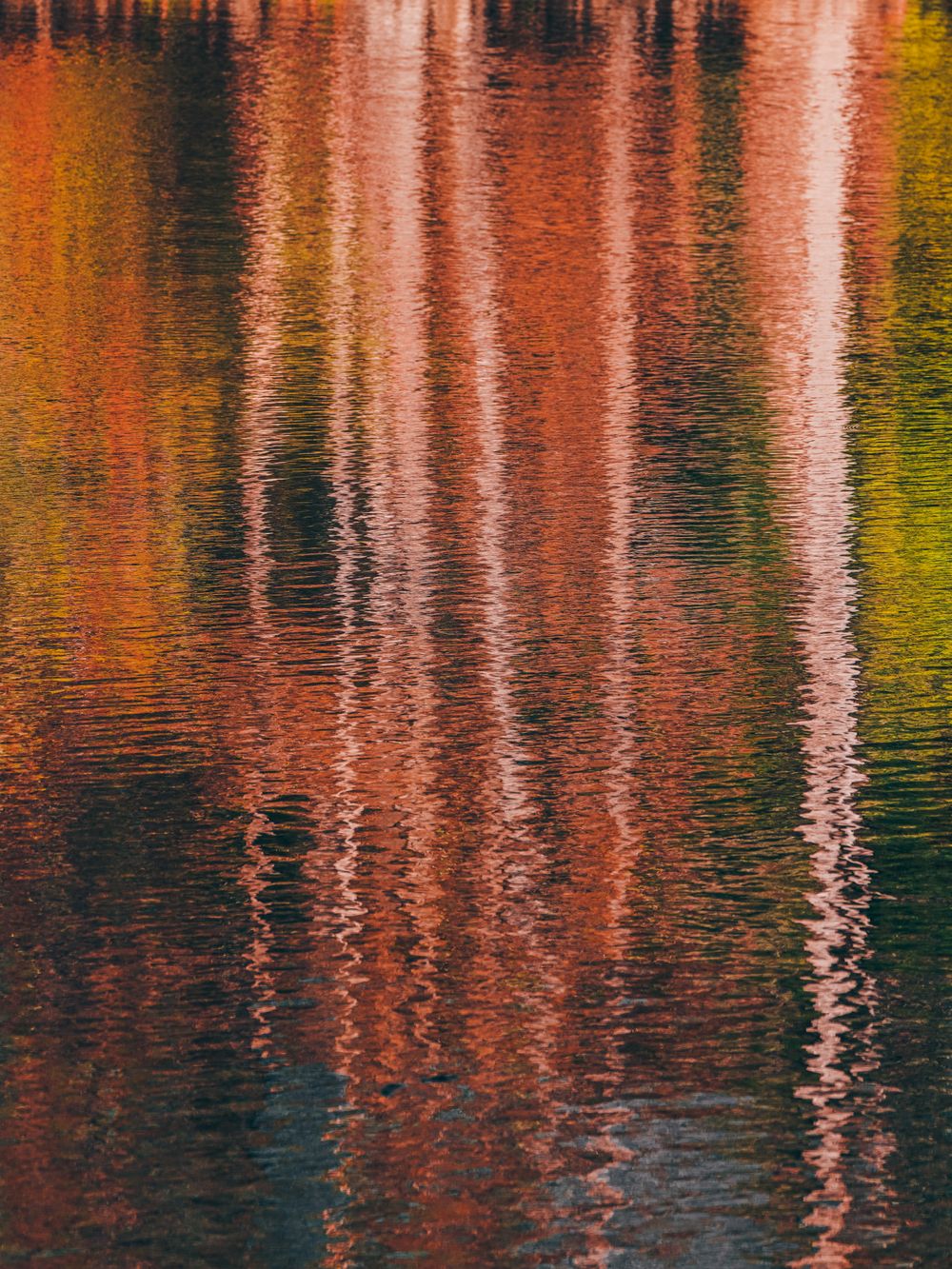 Riverine Autumn II