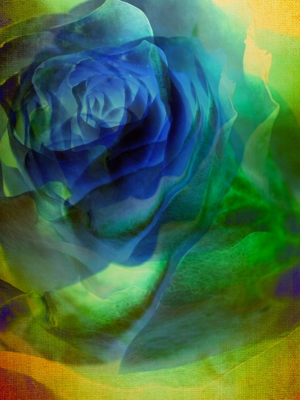Rose Rebel