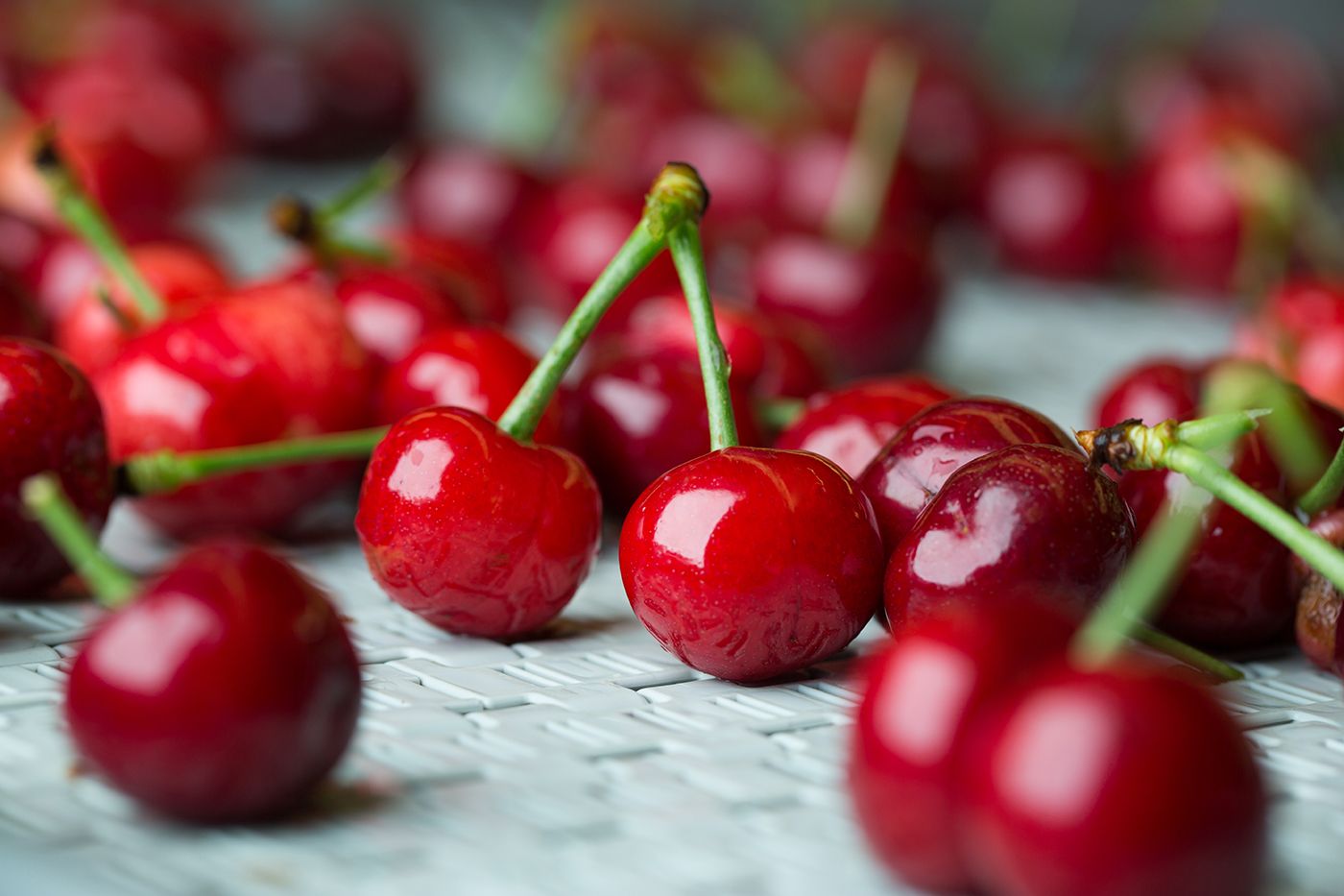 WARMERDAM FARMS036web.jpg