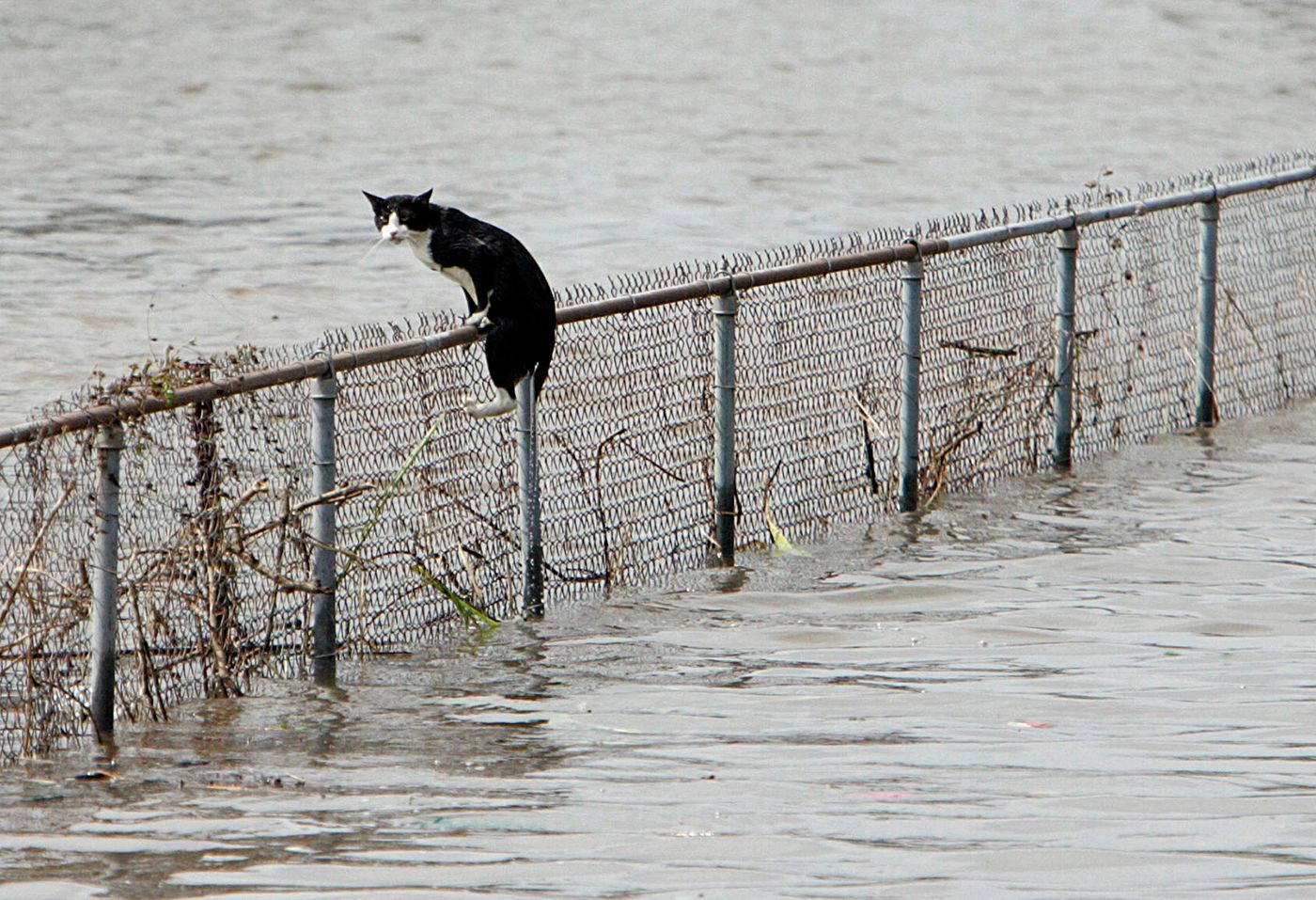 RITA AFTERMATH 11web.jpg