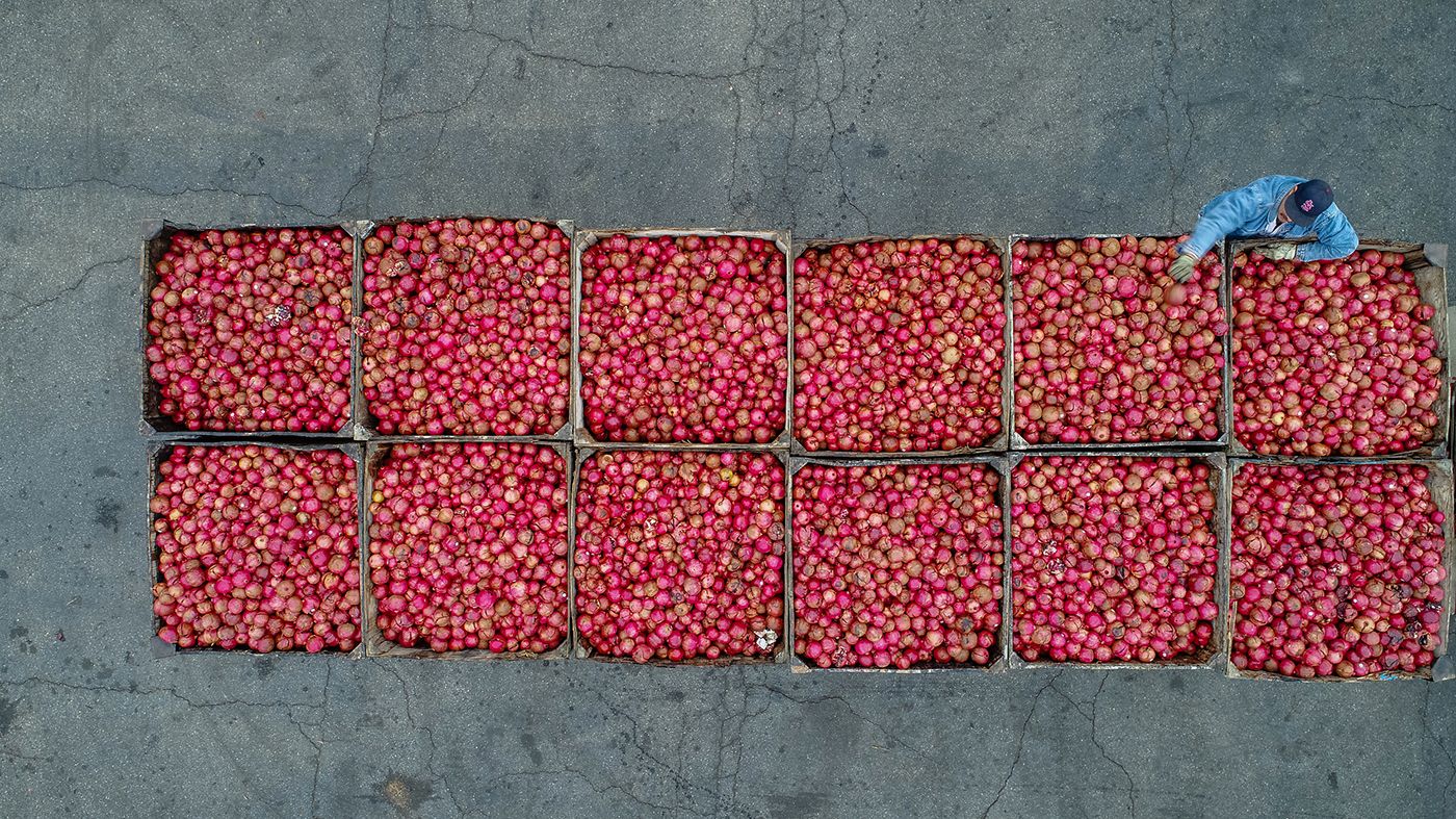 SIMONIAN FARMS-22 web.jpg