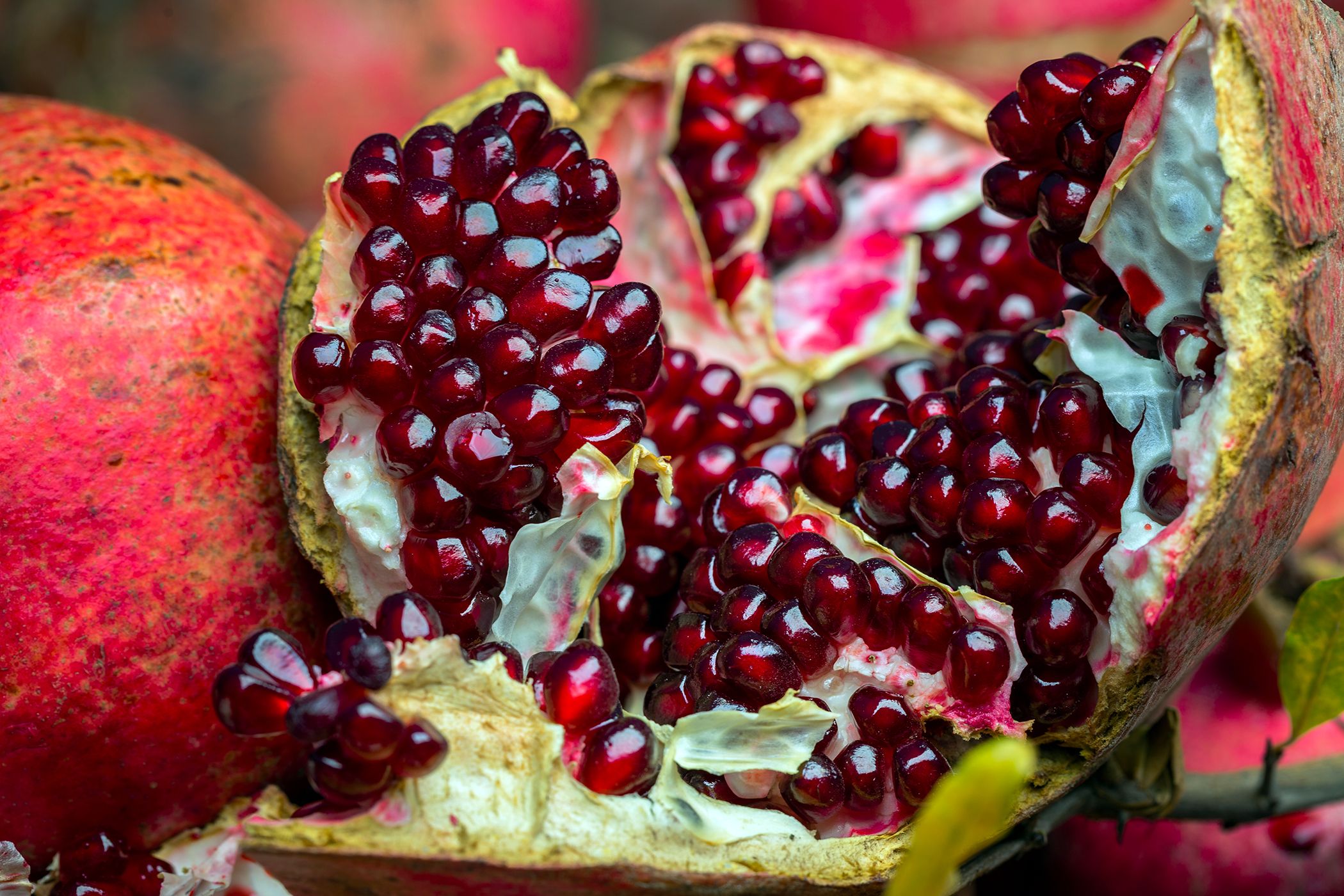 POMEGRANATE HARVEST-32 WEB.jpg