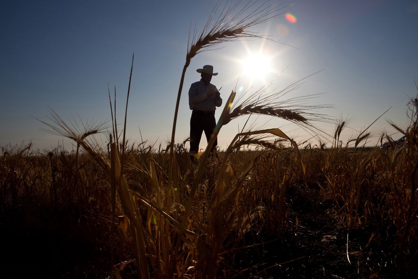 MENDOTA DROUGHT WEB.jpg