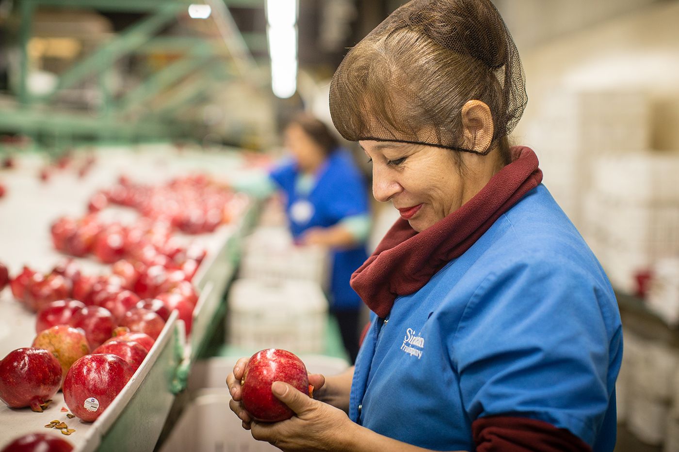 POMEGRANATE HARVEST-190 WEB.jpg