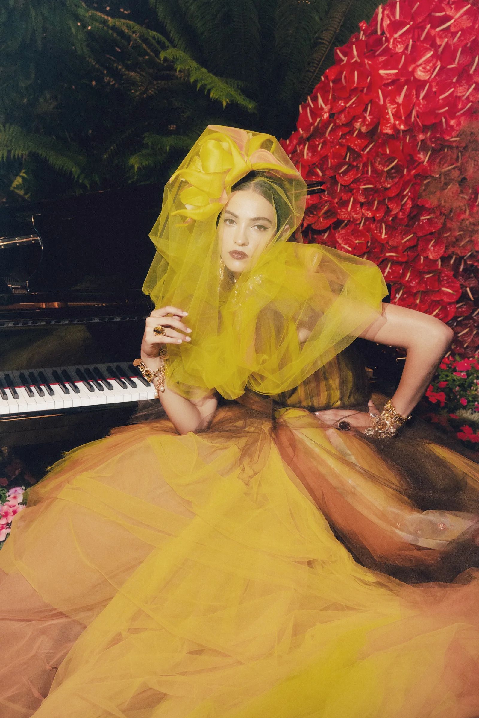 DG RY 2026 .jpg