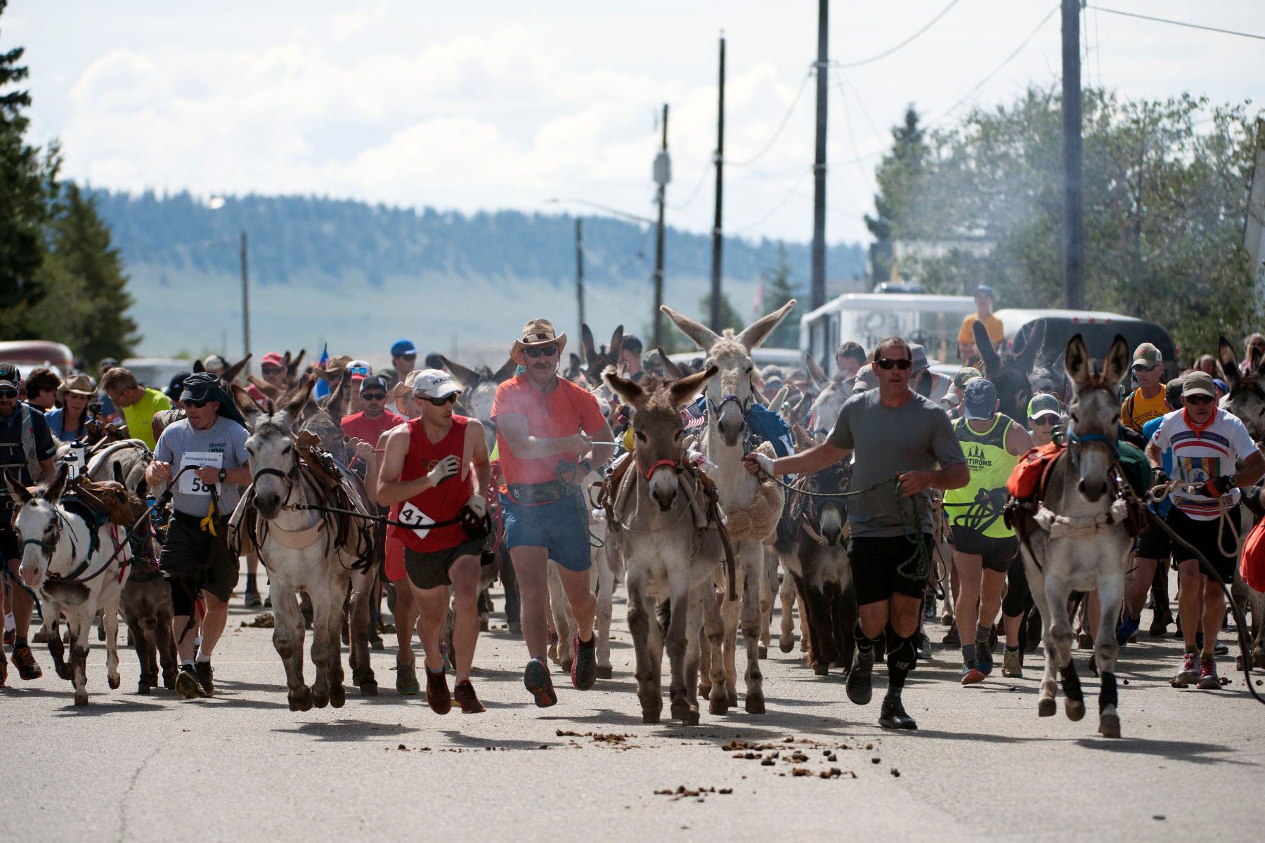 Racers and their burros run down Front Street at the start of the Pack Burro Race during the 69th Annual Burro Days in Fairplay, Colorado on July 30, 2017.  1burro_days_201796seqn_